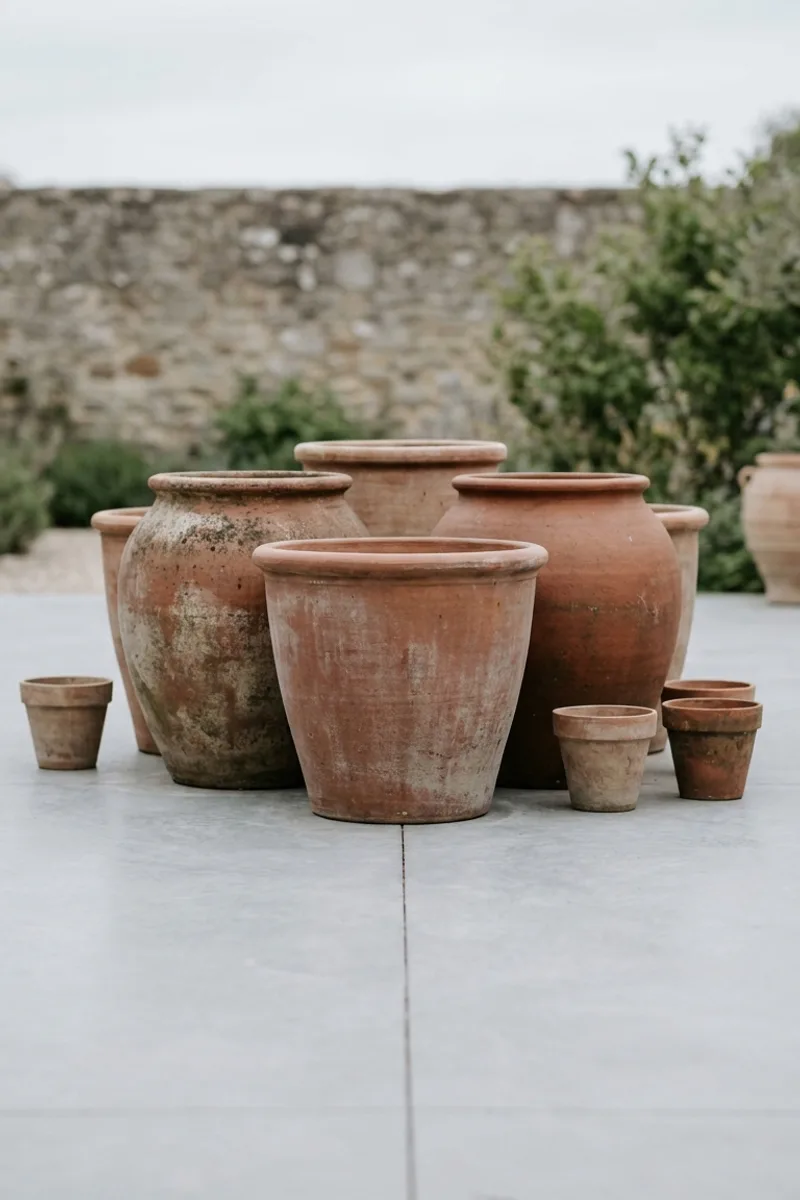 Potted Plant Displays