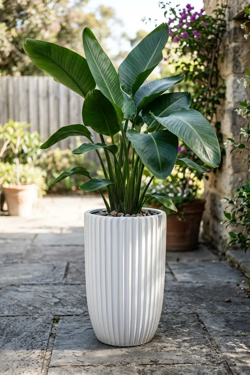 Tall Ribbed Planter with Tropical Leaves