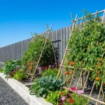 19 Smart Urban Vegetable Garden Ideas for Small Patios