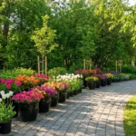 14 Beautiful Garden Walkway Ideas to Transform Your Yard