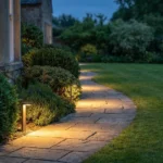 15 Best Dark Sky Gardening Ideas