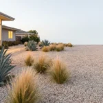 19 Best Gravel Gardening Ideas for Beginners