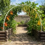 17 Vegetable Garden Layouts for Maximum Yield